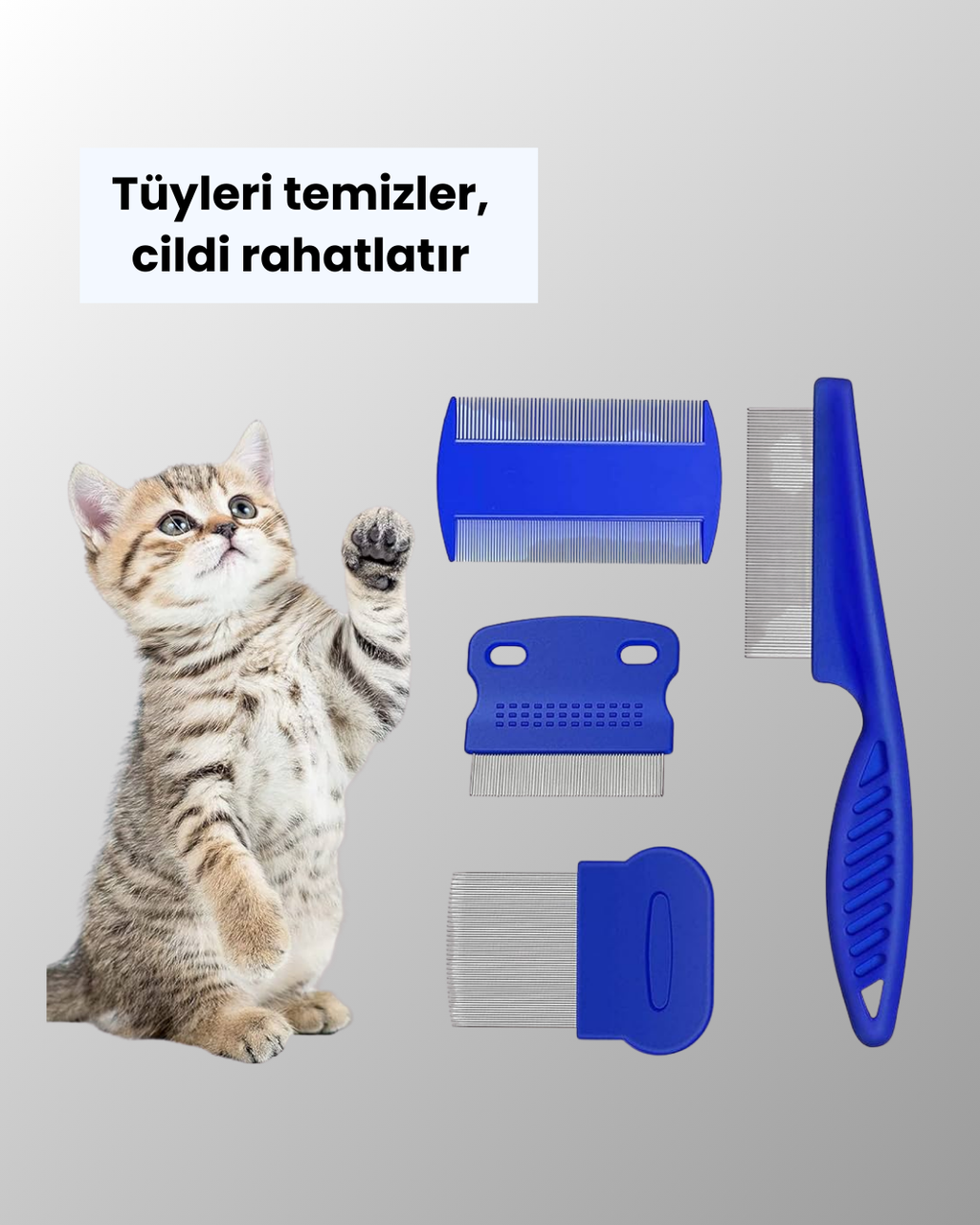 4 Parçalı Evcil Hayvan Tarak Seti – Paslanmaz Çelik Dişli Ergonomik Saplı