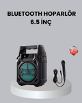 10W Gücünde Kablosuz Hoparlör – Şarjlı FM Radyolu ve Taşınabilir