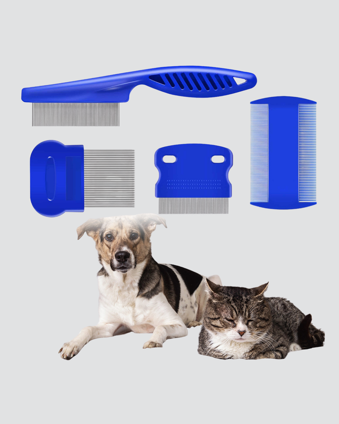 4’lü Kedi Köpek Tüy Temizleme Seti – Paslanmaz ÇelikErgonomik ve Uzun Ömürlü